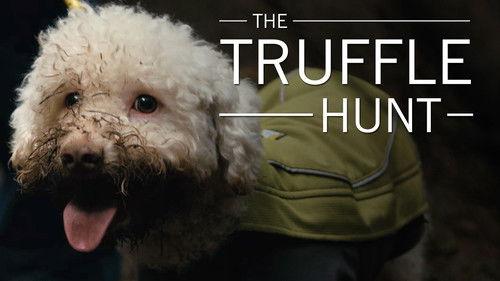 Original Fare Season 2 Episode 15 - The Truffle Hunt