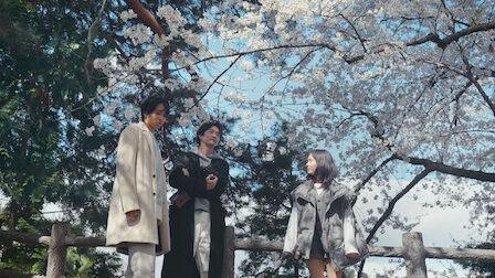 Who Is the Wolf? Season 14 Episode 6 - A Wish Upon the Falling Cherry Blossoms