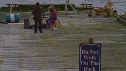 Ninja Turtles: The Next Mutation Season 1 Episode 20 - The Guest