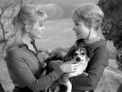 Lost in Space Season 1 Episode 13 - One of Our Dogs Is Missing