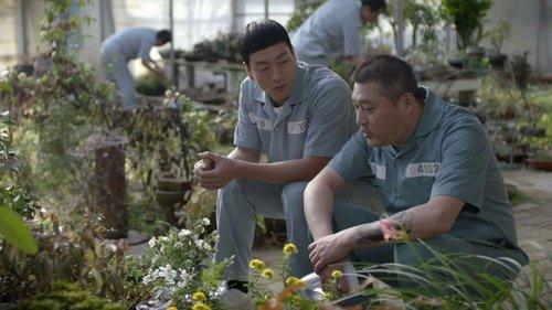 undefined Season 1 Episode 11 - The New Prisoner