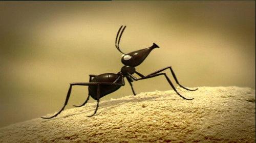 Minuscule: The Private Life of Insects Season 1 Episode 47 - Infernal Anthill