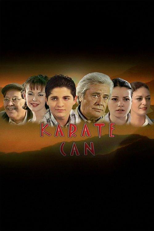 Karate Can poster