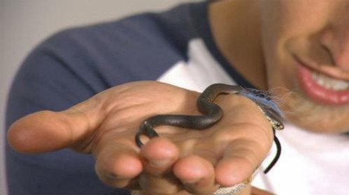 Bushwhacked! Season 1 Episode 3 - Tiger Snake