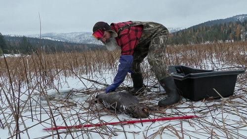 Mountain Men Season 12 Episode 5 - Lion Alley