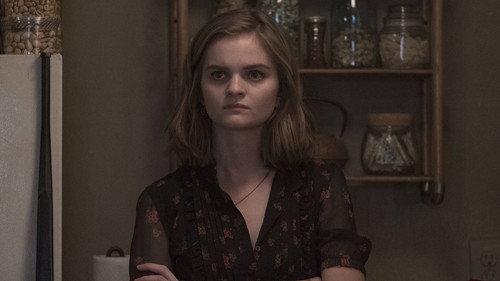 Ray Donovan Season 6 Episode 5 - Ellis Island