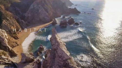 Habitat Season 1 Episode 1 - Episode 1