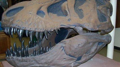 Superscience Season 4 Episode 7 - Dino Meteor