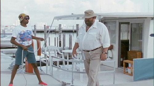 Detective Extralarge Season 2 Episode 5 - Operation Condor