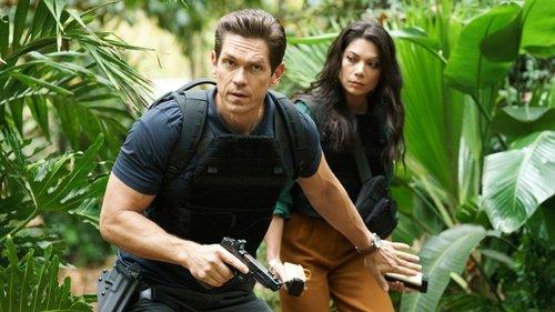 Background image for Working Vacation