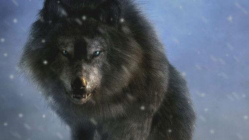 Strange Evidence Season 5 Episode 8 - Revenge of the Monster Wolf