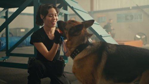 Hudson & Rex Season 7 Episode 4 - K9: The Rext Generation