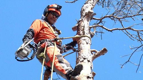 Where We Call Home Season 2 Episode 12 - Living With Forest and Mountain