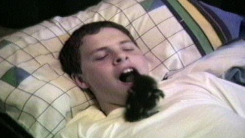 Funniest Pets & People Season 2 Episode 12 - Chore Time