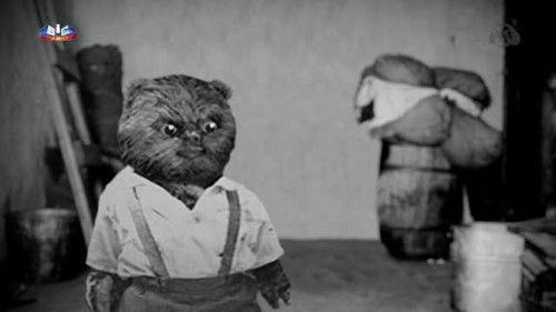 Aleixo Psi Season 1 Episode 4 - Episode 4