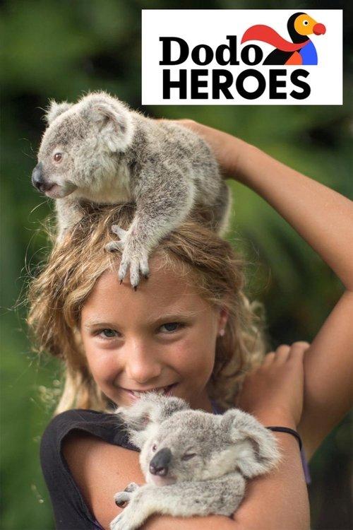 Dodo Heroes poster