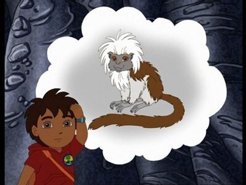 Go, Diego, Go! Season 5 Episode 4 - Cotton-Top Tamarin Cave Rescue