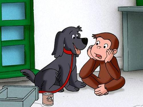 Curious George Season 1 Episode 26 - Charkie Escapes