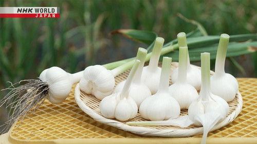 Trails to Oishii Tokyo Season 7 Episode 12 - Garlic