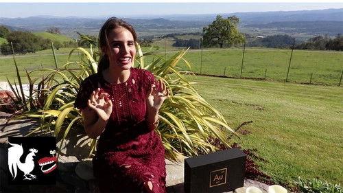 Burnie Vlog Season 1 Episode 15 - San Francisco 'High-End' Weed Dinner