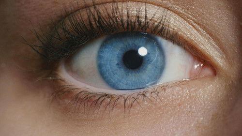 NHK WORLD PRIME Season 5 Episode 15 - Eyes in a Crisis