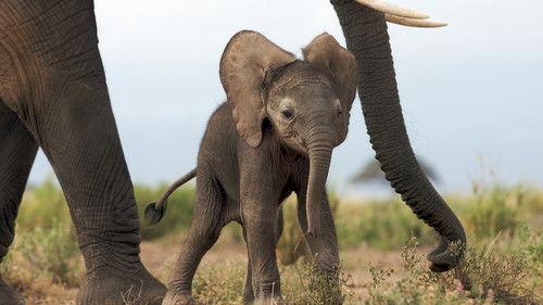 Deadly Instincts Season 1 Episode 2 - Born to Run