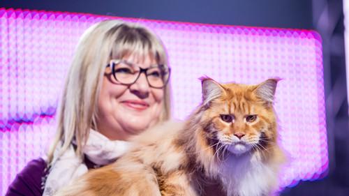 Au suivant! Season 4 Episode 10 - Episode Friday, November 16, 2018