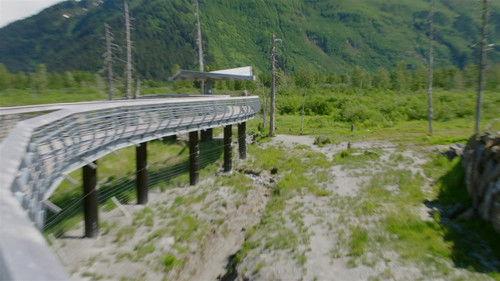 Dr. Oakley, Yukon Vet Season 4 Episode 7 - Bad News Bear