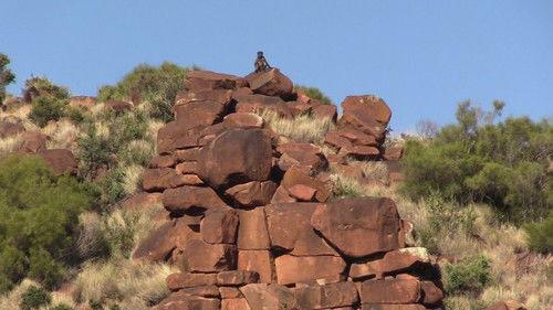 Alone Season 12 Episode 1 - The Land of Great Thirst