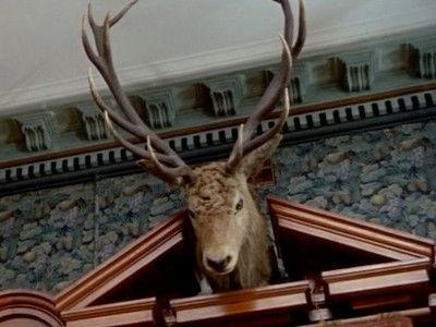 Background image for Episode 3