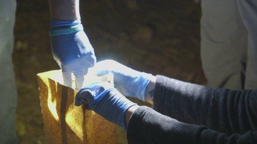 The First 48 Season 22 Episode 5 - Little Girl Lost