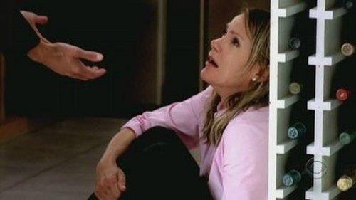 CSI: NY Season 3 Episode 6 - Open and Shut