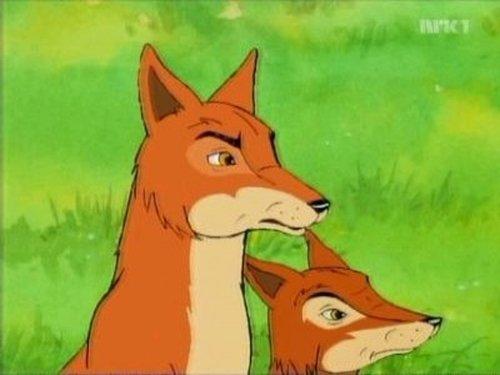 The Animals of Farthing Wood Season 3 Episode 6 - Adventure For The Birds