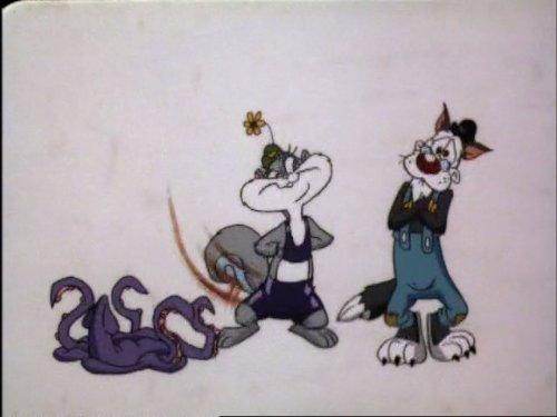 Animaniacs Season 5 Episode 4 - It