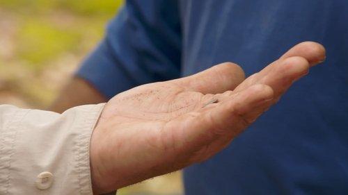 The Curse of Oak Island Season 10 Episode 8 - A Lot to Be Desired