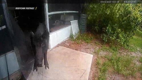 On Patrol: Live Season 4 Episode 15 - Roommate Disturbance