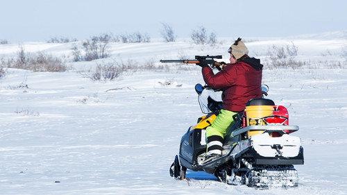 Life Below Zero Season 7 Episode 10 - Winter Kill
