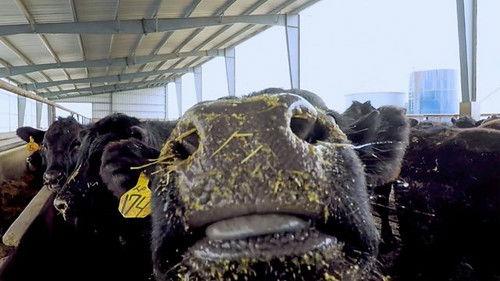 Countryfile Season 34 Episode 23 - Norfolk / Suffolk