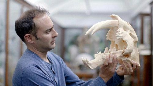 Lost Beasts Season 1 Episode 3 - Secrets of the Sabre-Toothed Tiger