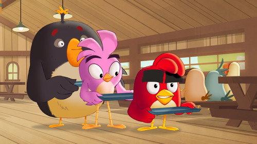 Angry Birds: Summer Madness Season 1 Episode 8 - The New Pig