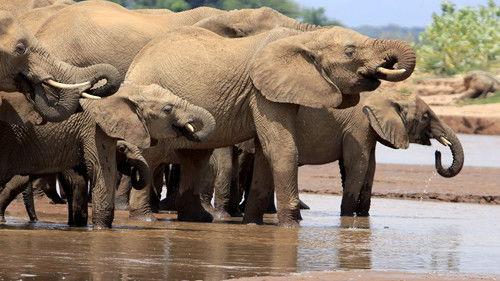 Chasing the Rains Season 1 Episode 1 - The Fickle River