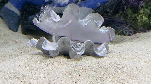 Tanked Season 1 Episode 3 - Rules of Engagement