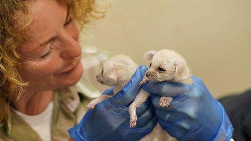 Animal Park Season 23 Episode 2 - Summer 2024: Episode 2