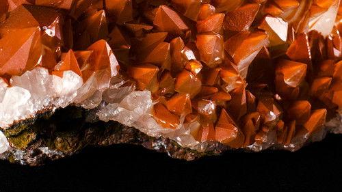 NOVA Season 43 Episode 11 - Life's Rocky Start