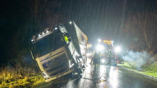 Background image for Moonlight Mayhem