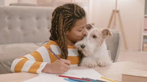 Explained Season 3 Episode 4 - Dogs