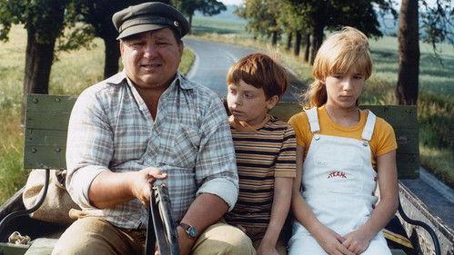 The Octopuses from the Second Floor Season 1 Episode 2 - Episode 02