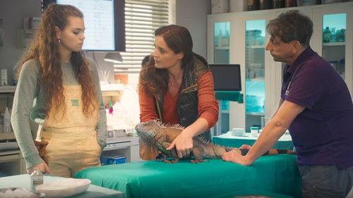 Tierärztin Dr. Mertens Season 8 Episode 13 - Episode 13