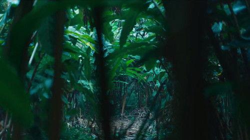 Candle in the Tomb: The Worm Valley Season 1 Episode 5 - Episode 5