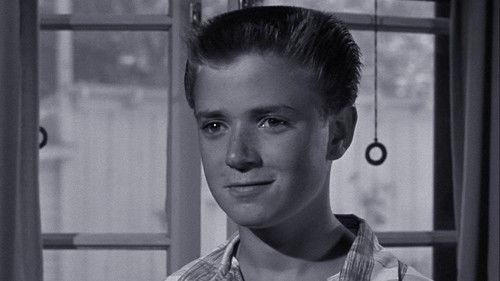 The Adventures of Spin and Marty Season 1 Episode 4 - The White Stallion